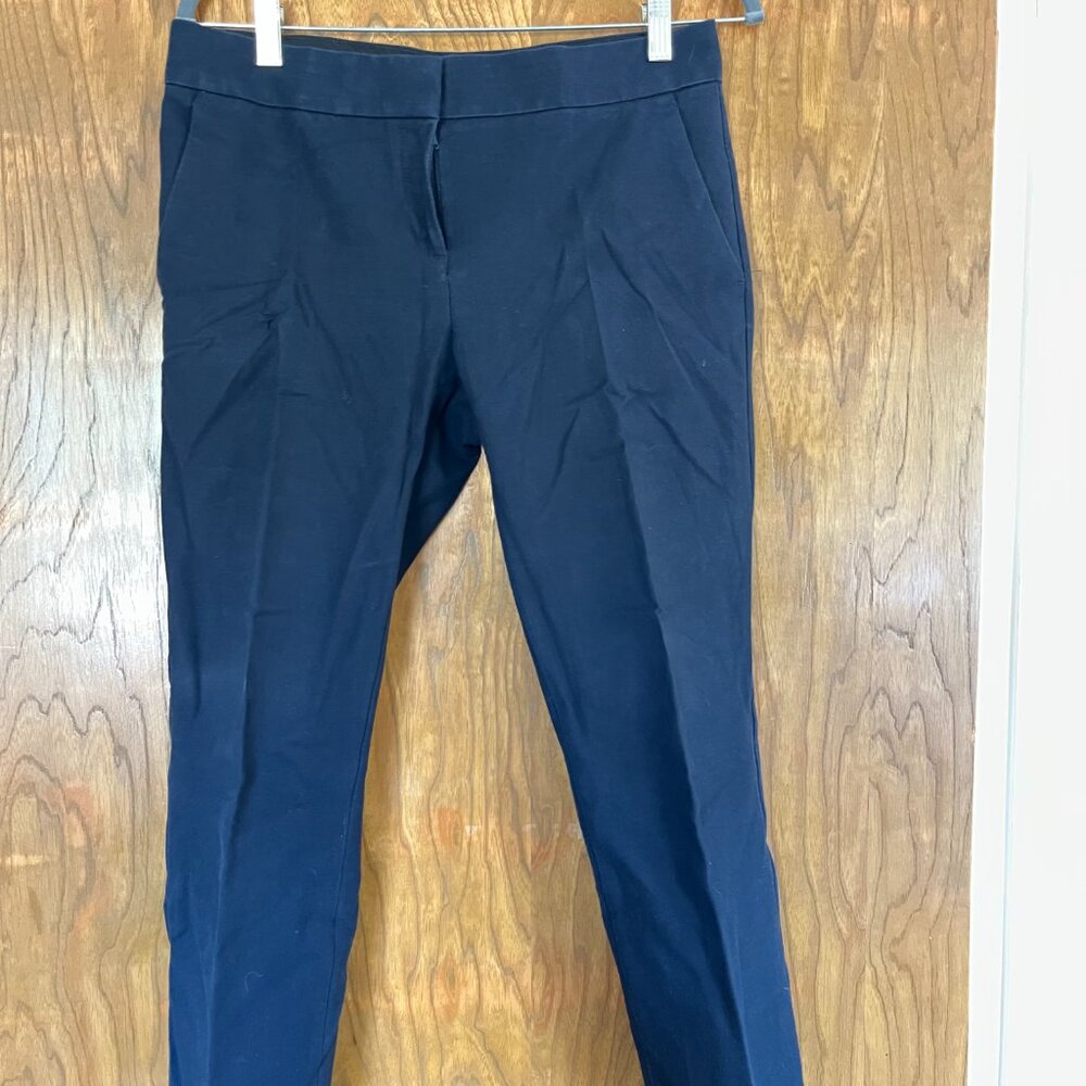 Ann Taylor Devin Fit Business Casual Pants
